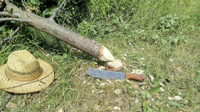 11745646_10206903235970449_239553752_o